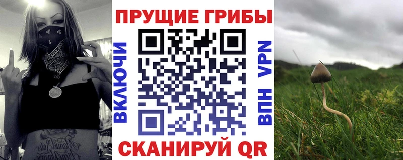что такое наркотик  Серов  Псилоцибиновые грибы MAGIC MUSHROOMS 