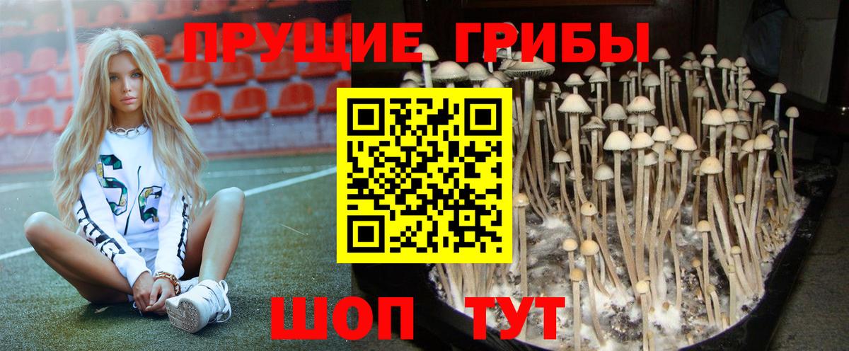 Серов  хочу наркоту  Вход с VPN  Псилоцибиновые грибы GOLDEN TEACHER 
